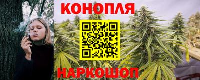 гашик Гусь-Хрустальный