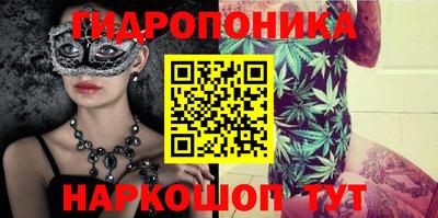 шишки Гусиноозёрск