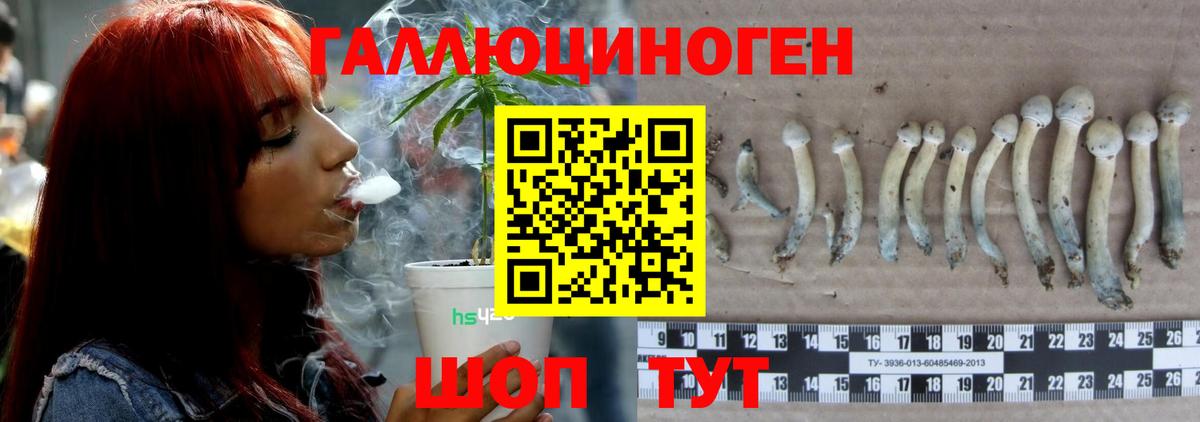 Псилоцибиновые грибы мицелий  Псилоцибиновые грибы MAGIC MUSHROOMS  Барабинск  Вход с VPN 